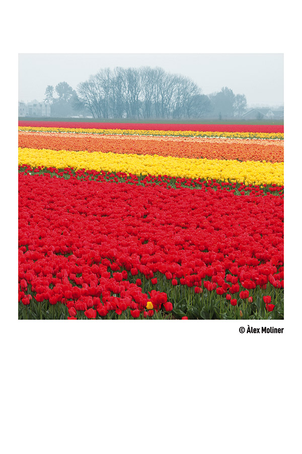 Fotografía de Alex Moliner