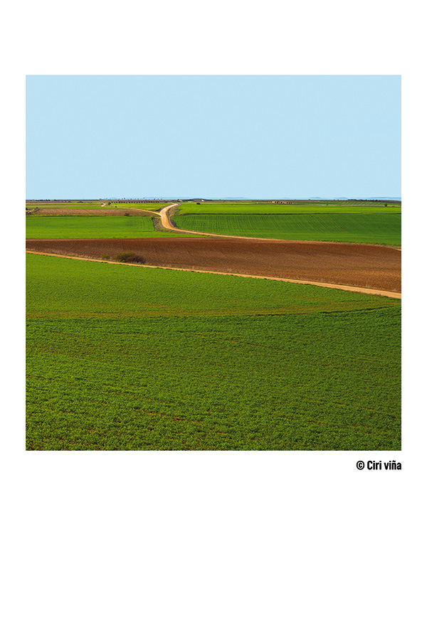 Paisaje de Ciri Viña