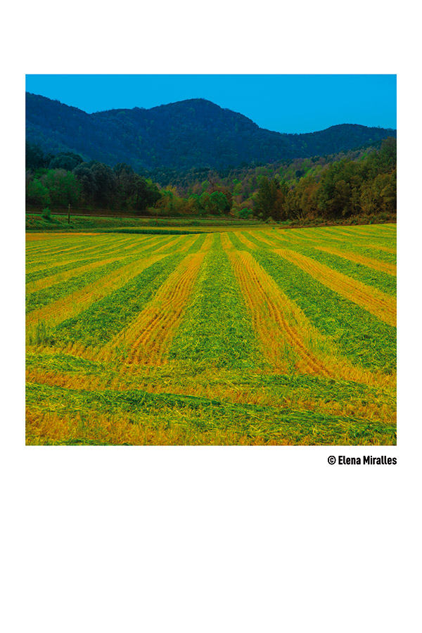 fotogafía de Elena Miralles