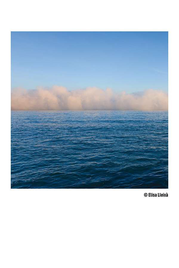 Paisaje de Elisa Lleixa